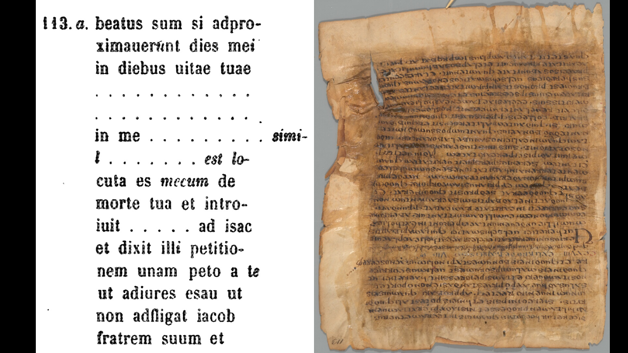 Ceriani gaps and Ac_00 of 19c113