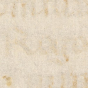 Figures 14–21: Eight digital images of a detail of University of Southern California Rouse Manuscript 32, digitized by the Jubilees Palimpsest Project. 